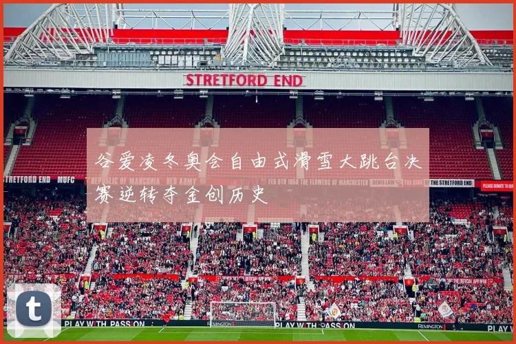 谷爱凌冬奥会自由式滑雪大跳台决赛逆转夺金创历史