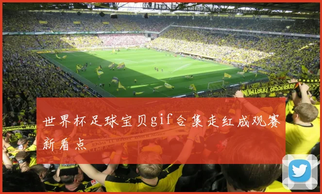 世界杯足球宝贝gif合集走红成观赛新看点